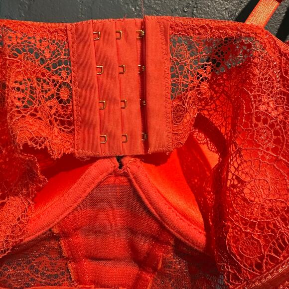 Daisy Fuentes 34B Coral Lace Bra New With Tags Pretty Lingerie Push Up - Picture 4 of 6